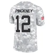 Men's Arctic Camo Limited Sam Pinckney Carolina 2024 Salute to Service Jersey